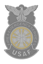 7t - AF FES Chief two tone Metal Badge